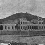 dpedro1-2