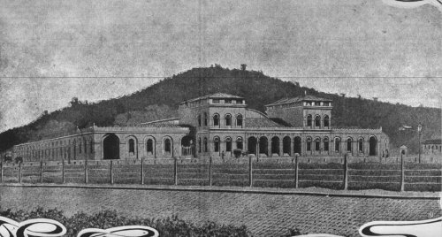 dpedro1-2