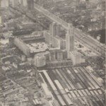 dpedro9501-2