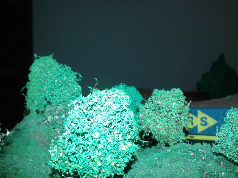 20140310_052941