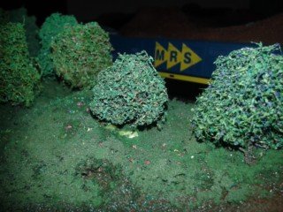 20140310_053015