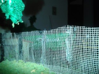20140331_195438
